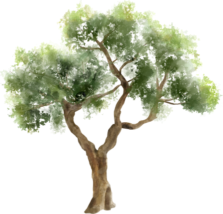Tree in Watercolor Style